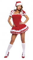 Santa's Maid Christmas Costume