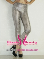 Silvery Metallic Luster Leggings