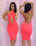 Rose Halter Neck Backless Dress