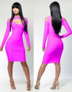 2014 Hot New Style Rose Long Sleeve Dress