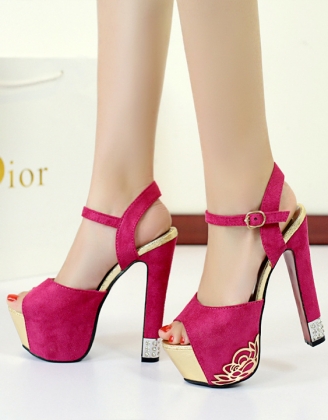 Sexy High Heeled Shoes