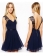 V-neck Sleeveless Halter Skater Dress