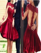 Long Sleeve Short Mini Lace Appliques Dress
