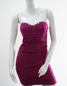 Strapless Reched Beading Dress Purple