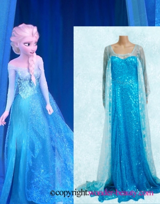 Elsa Dress Cosplay Costume in Frozen