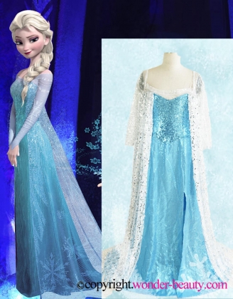 Lovely Frozen Queen Elsa Costume From The Movie